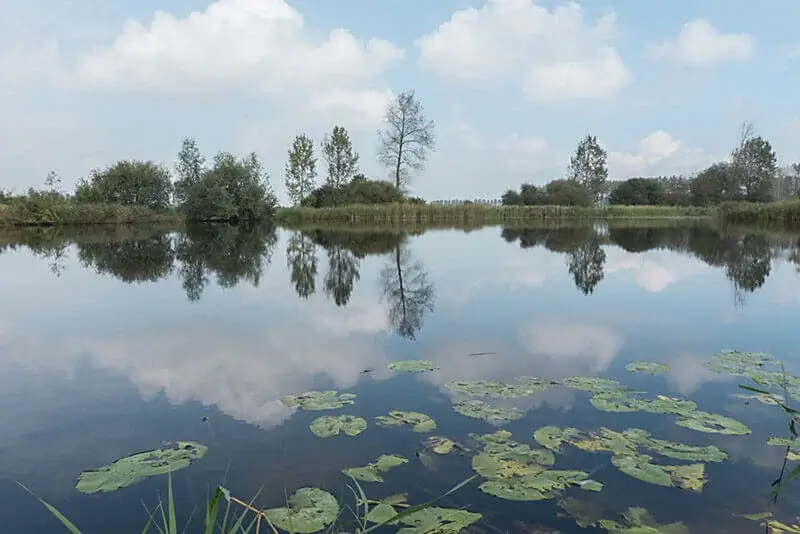 Meetjeslandse Kreken