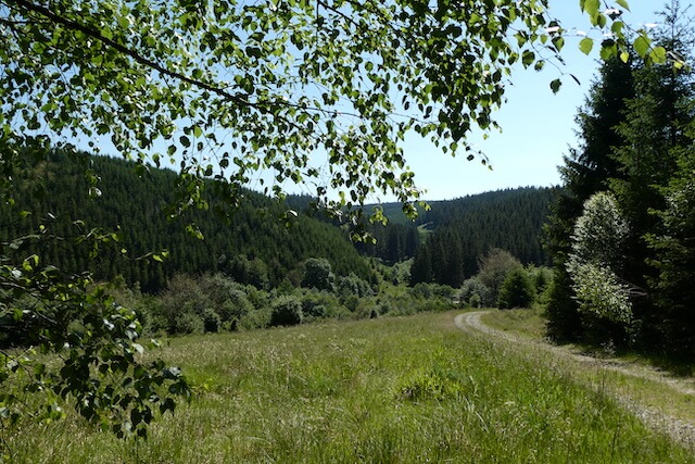Vallei van de Olefbach
