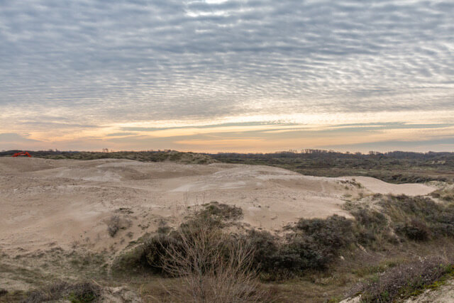 Dune reserve De Westhoek