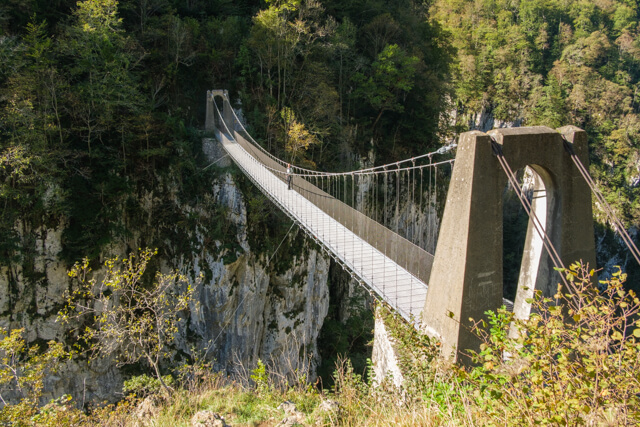 Holzarté suspension bridge