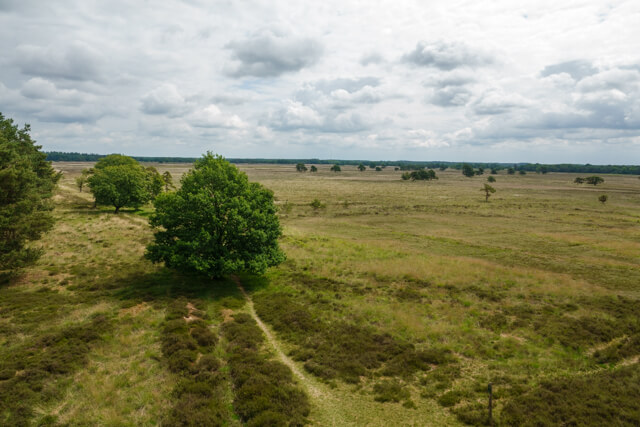 Door het Doldersummerveld
