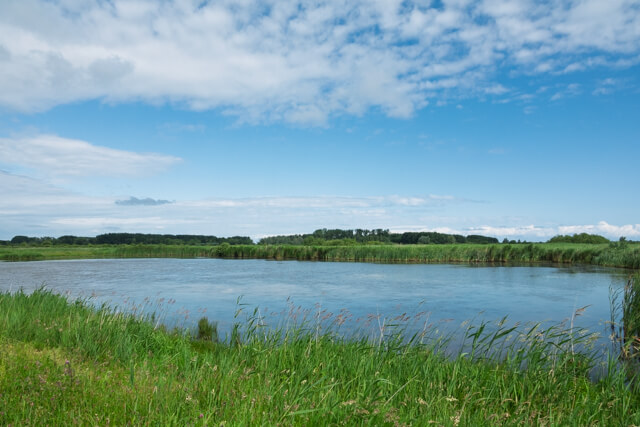 Kollumeroord