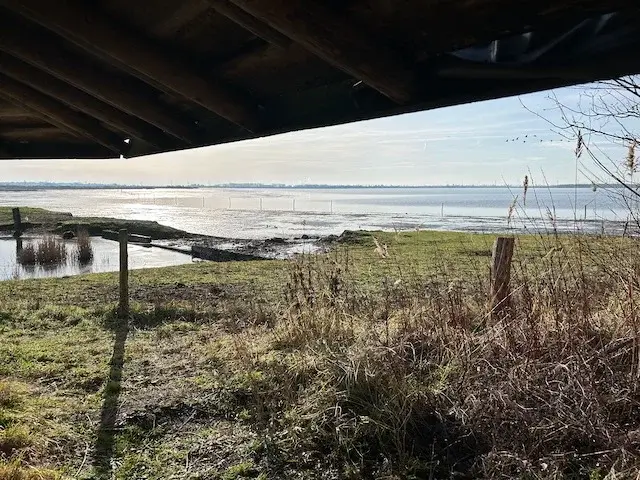 Van Landgoed Mattemburgh naar het Markiezaat